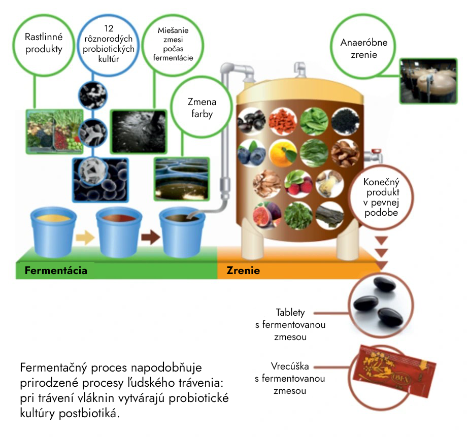 napodobenie tráviaceho procesu